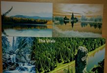 Image with missing alt attribute found on nashural.ru