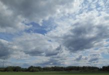 Image with missing alt attribute found on nashural.ru