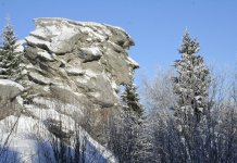 Image with missing alt attribute found on nashural.ru