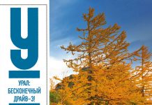 Image with missing alt attribute found on nashural.ru