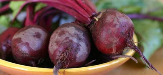 Image with missing alt attribute found on naturalsociety.com