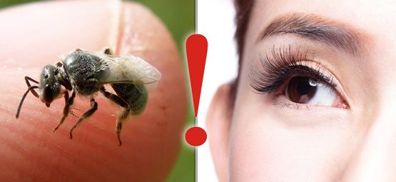 Image with missing alt attribute found on naturalsociety.com