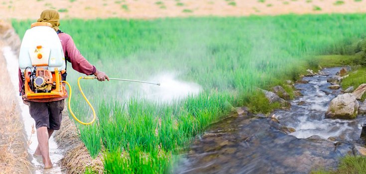 Image with missing alt attribute found on naturalsociety.com