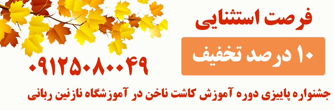 Image with missing alt attribute found on nazaninrabani.ir