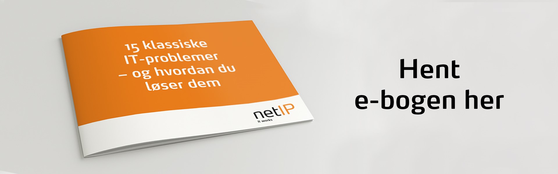 Image with missing alt attribute found on netip.dk