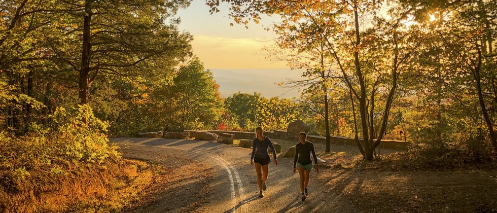 Image with missing alt attribute found on sewanee.edu