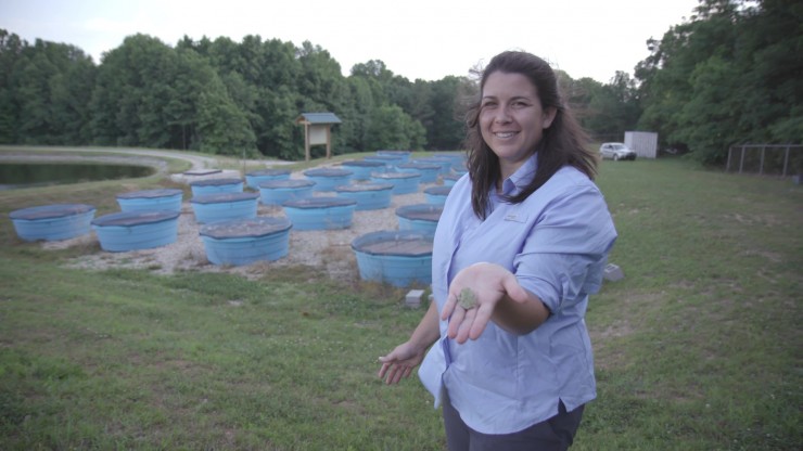 Image with missing alt attribute found on sewanee.edu