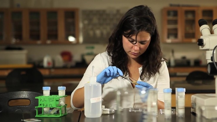 Image with missing alt attribute found on sewanee.edu