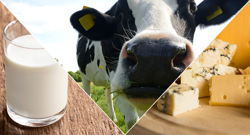 Worcester State Receives Food Vision Prize to Increase Local and Regional Food on Campus