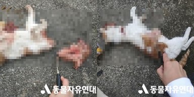 Image with missing alt attribute found on hankookilbo.com