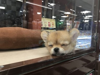 Image with missing alt attribute found on hankookilbo.com