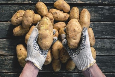 Image with missing alt attribute found on hankookilbo.com