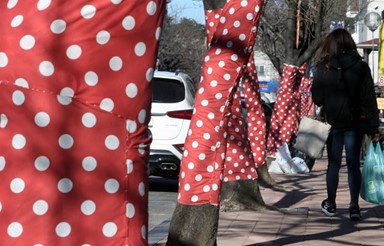 Image with missing alt attribute found on hankookilbo.com