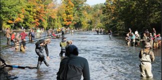 Image with missing alt attribute found on newzjunky.com