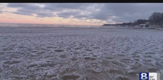 Image with missing alt attribute found on newzjunky.com