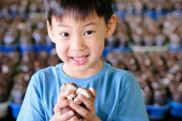 Image with missing alt attribute found on nextshark.com