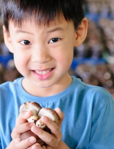 Image with missing alt attribute found on nextshark.com