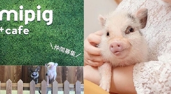 Image with missing alt attribute found on nextshark.com