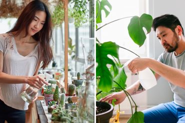 Image with missing alt attribute found on nextshark.com