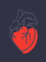 Image with missing alt attribute found on nimbusweb.me