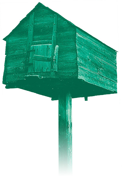 Image with missing alt attribute found on njalla.fo