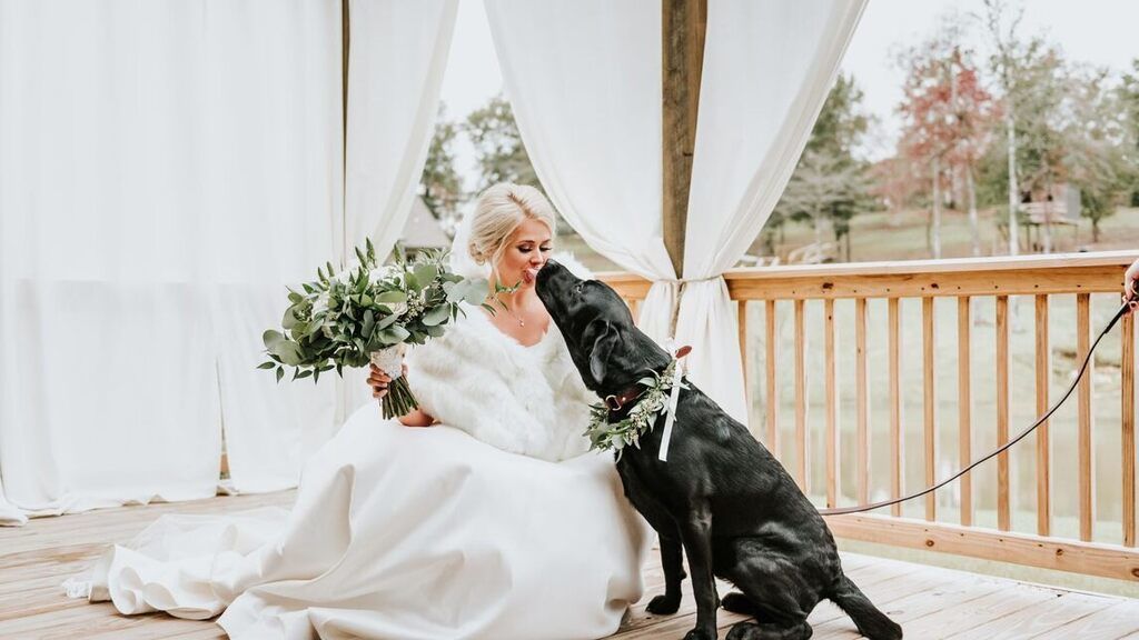 Image with missing alt attribute found on nlc.hu