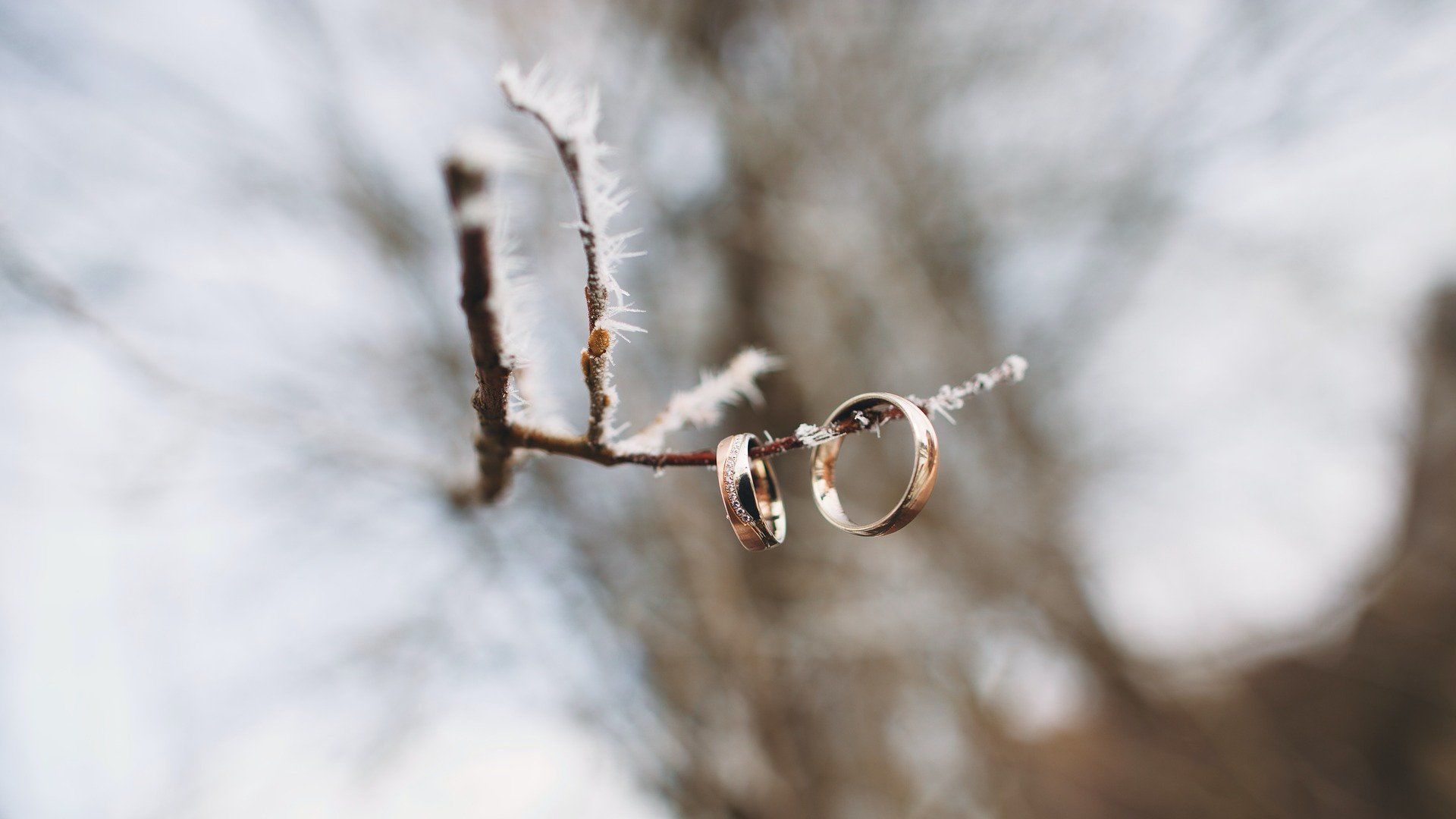 Image with missing alt attribute found on nlc.hu