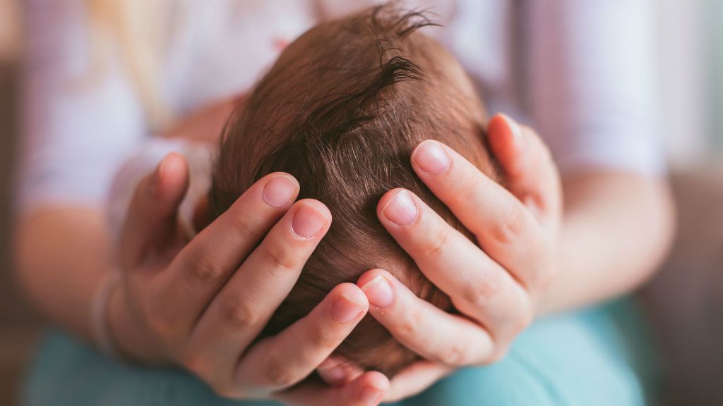 Image with missing alt attribute found on nlc.hu