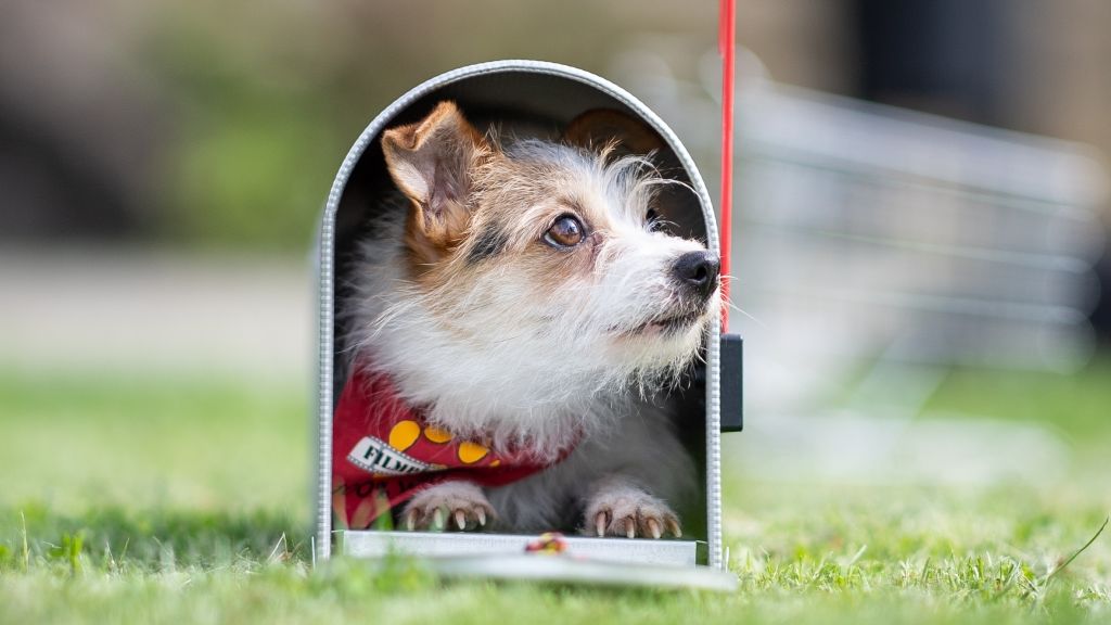 Image with missing alt attribute found on nlc.hu