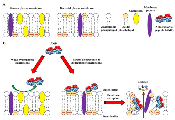 Image with missing alt attribute found on oatext.com