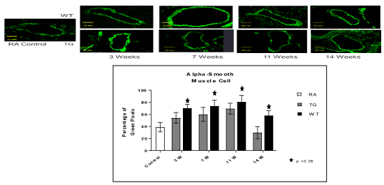 Image with missing alt attribute found on oatext.com