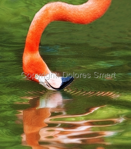 Image with missing alt attribute found on artspan.com