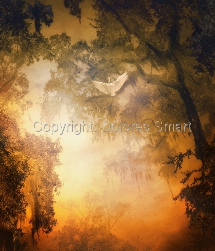 Image with missing alt attribute found on artspan.com