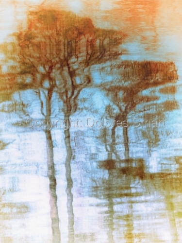 Image with missing alt attribute found on artspan.com