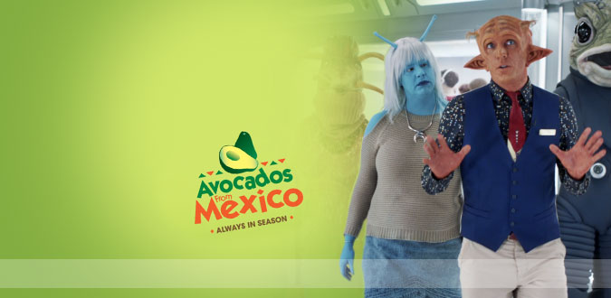 Image with missing alt attribute found on oddcast.com