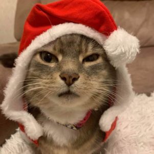 Funny Pictures &ndash; December 22, 2019