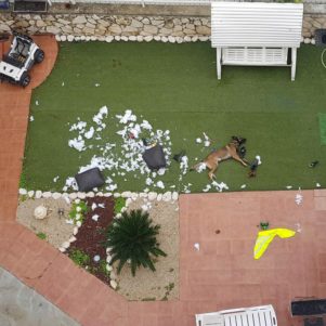 Funny Pictures &ndash; December 10, 2019