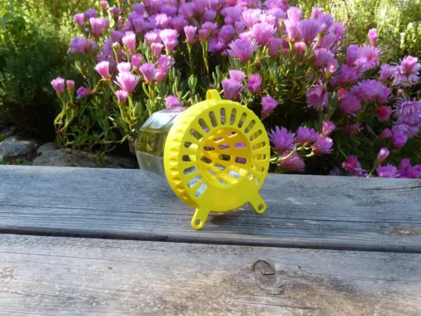 Pi&egrave;ge &agrave; frelon OkyBee jaune pos&eacute; sur une table en bois avec des fleurs roses en arri&egrave;re-plan
