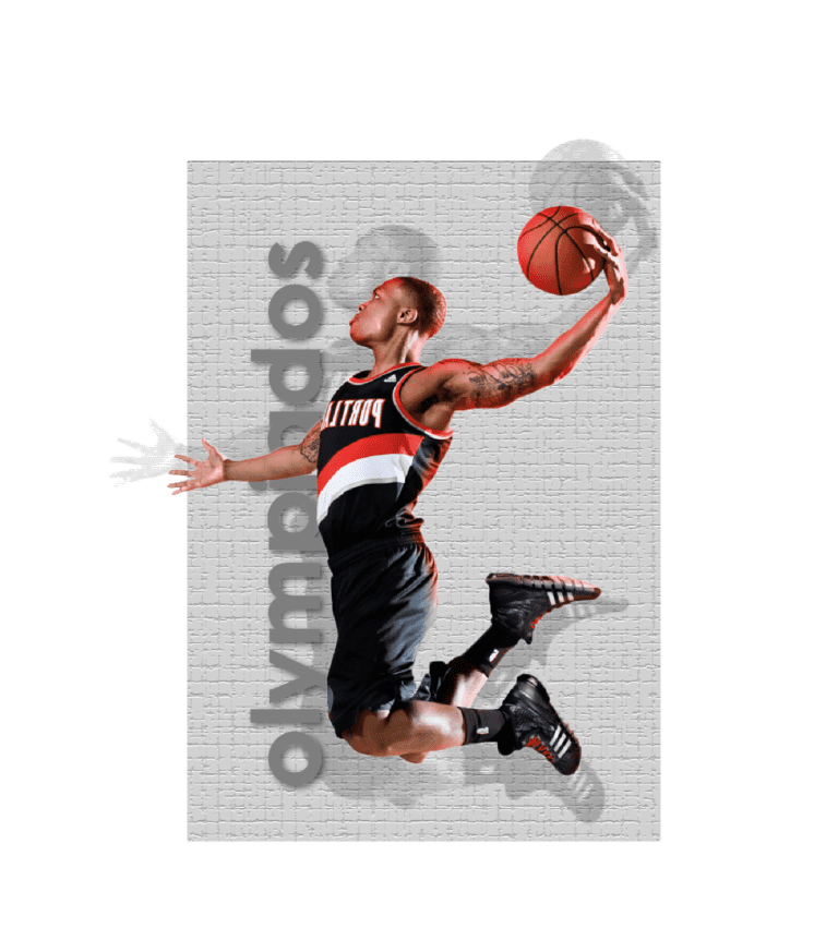 Image with missing alt attribute found on olympiados.in