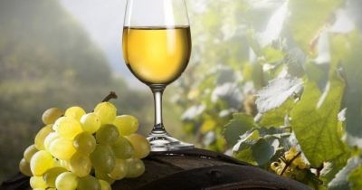 Image with missing alt attribute found on ominho.pt