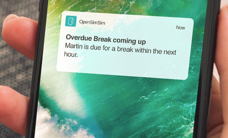 Image with missing alt attribute found on opensimsim.com