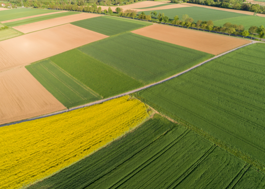 Image with missing alt attribute found on openweathermap.org