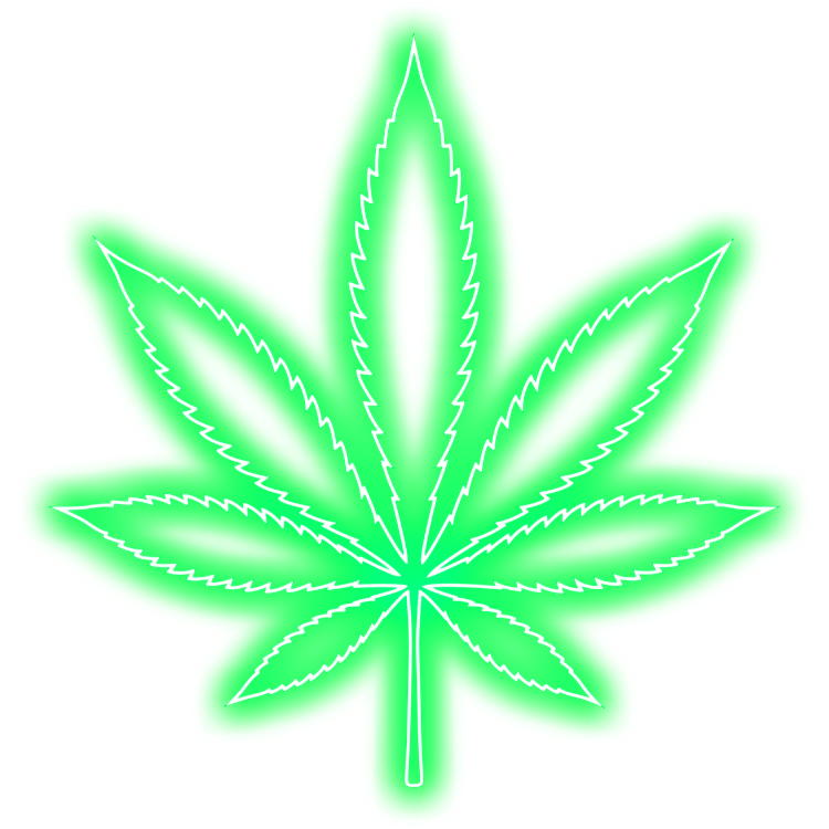 Image with missing alt attribute found on orderbudonline.io