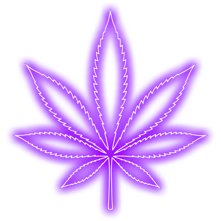 Image with missing alt attribute found on orderbudonline.io