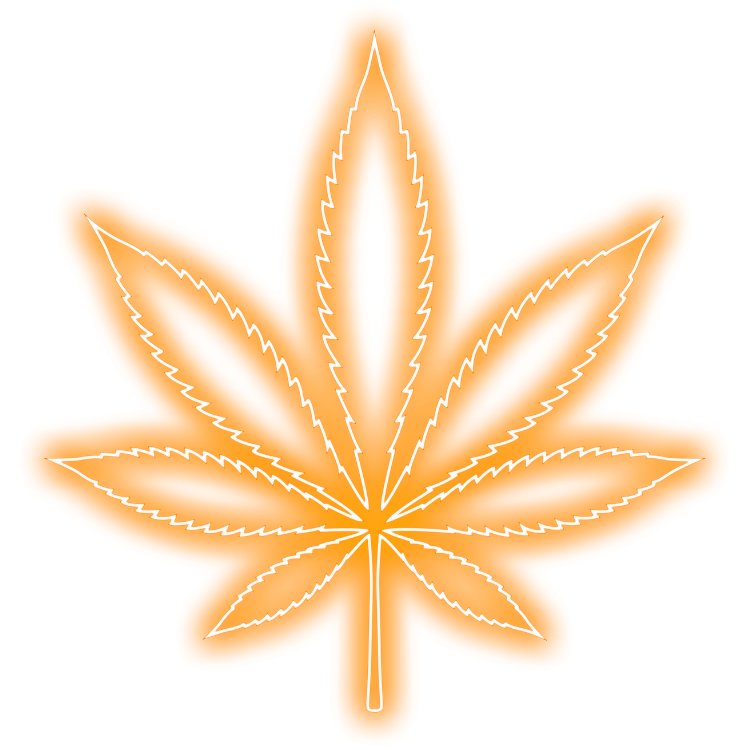 Image with missing alt attribute found on orderbudonline.io