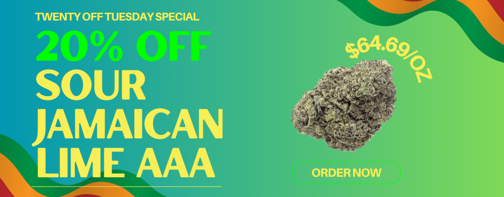 Image with missing alt attribute found on orderbudonline.io