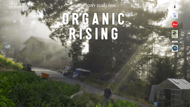 Image with missing alt attribute found on orionesolutions.com