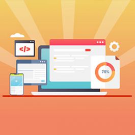 ترافیک ارگانیک