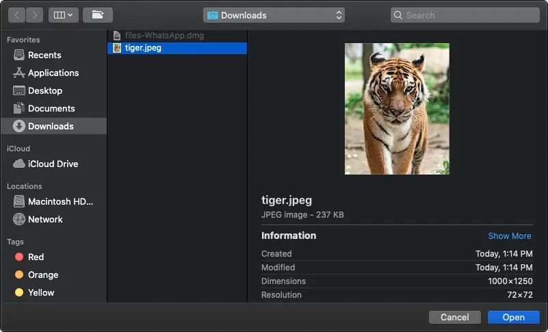 Image with missing alt attribute found on ourcodeworld.com