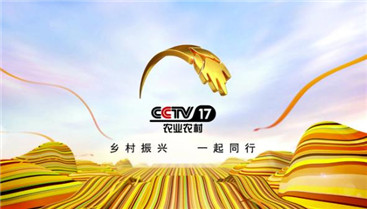 Image with missing alt attribute found on cctv.com